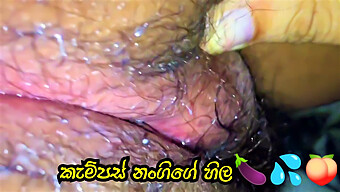 University Student Enjoys Big Cock And Funny Orgasm In Sri Lankan Video